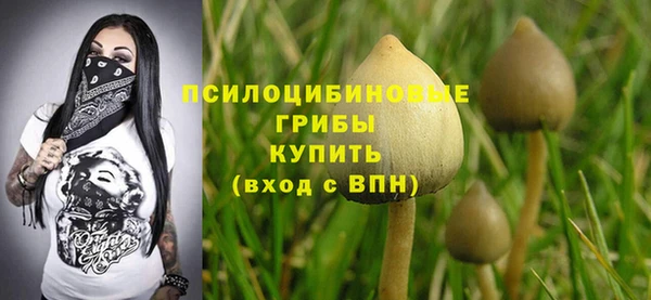 прущие грибы Алексеевка