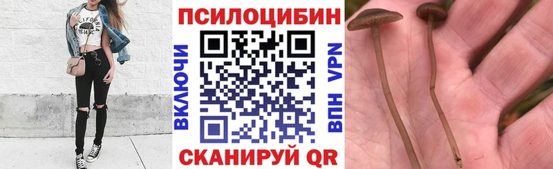 Псилоцибиновые грибы ЛСД  Красноармейск 